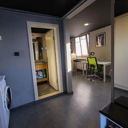 Lejlighed Private Loft W. Bosphorus View Near Galata Istanbul